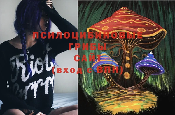 молекула духа Медногорск