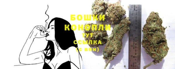 молекула духа Медногорск