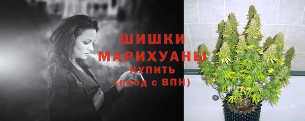 молекула духа Медногорск