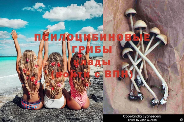 мдма Мегион