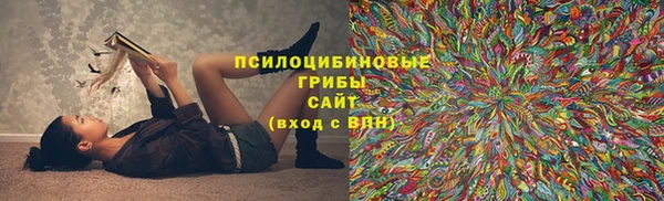 мескалин Михайлов