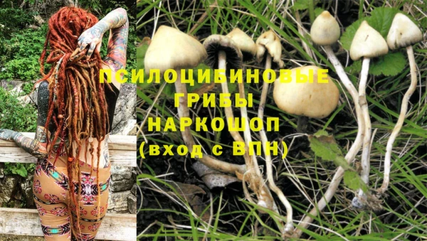 спайс Михайловка