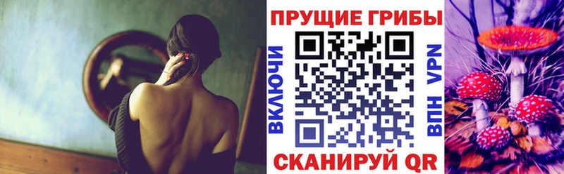 закладка Катав-Ивановск Псилоцибиновые грибы мухоморы