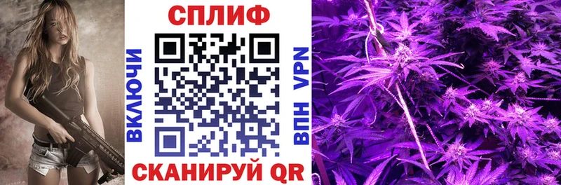 Бошки Шишки MAZAR  закладка  Катав-Ивановск 